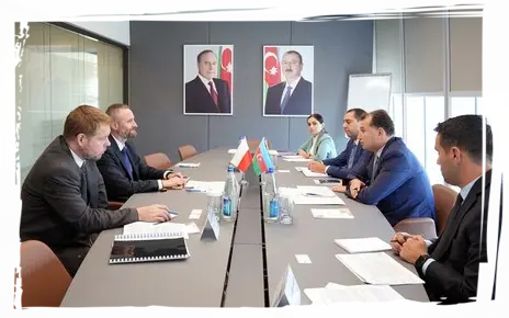 İŞGÜZAR GÖRÜŞLƏRİN TƏŞKİLİ  